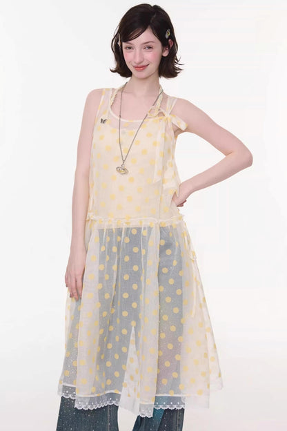 Sweet Polka Dot Mesh Dress
