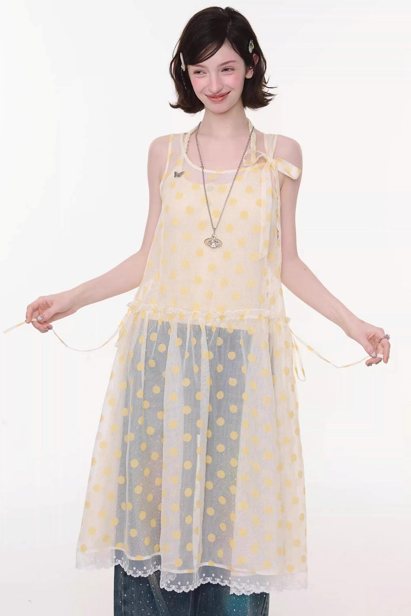 Sweet Polka Dot Mesh Dress