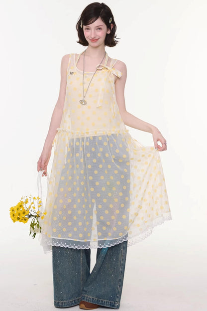 Sweet Polka Dot Mesh Dress