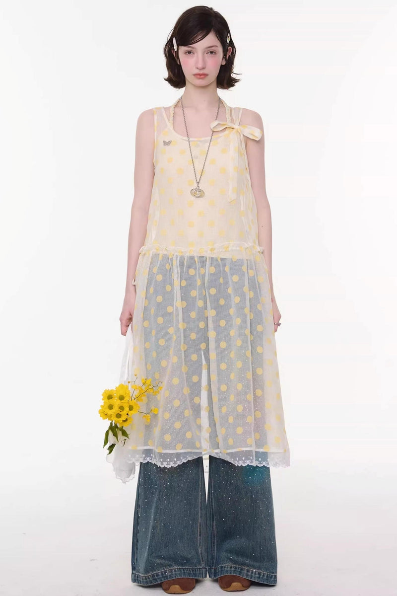 Sweet Polka Dot Mesh Dress