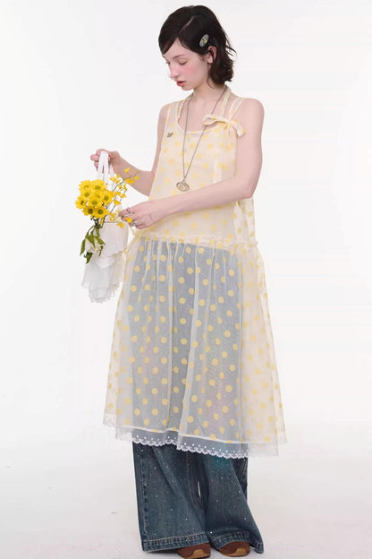 Sweet Polka Dot Mesh Dress