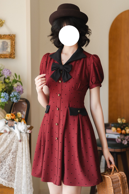 Wardrobe Idol Retro Dress