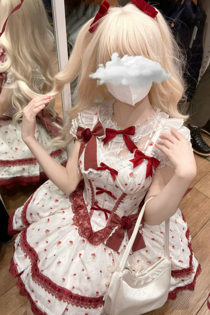 Rose Sweet Pure Princess Dress + Sheer Innerwear