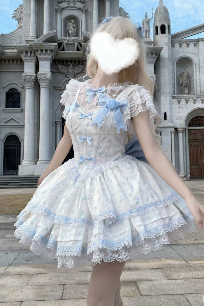 Rose Sweet Pure Princess Dress + Sheer Innerwear