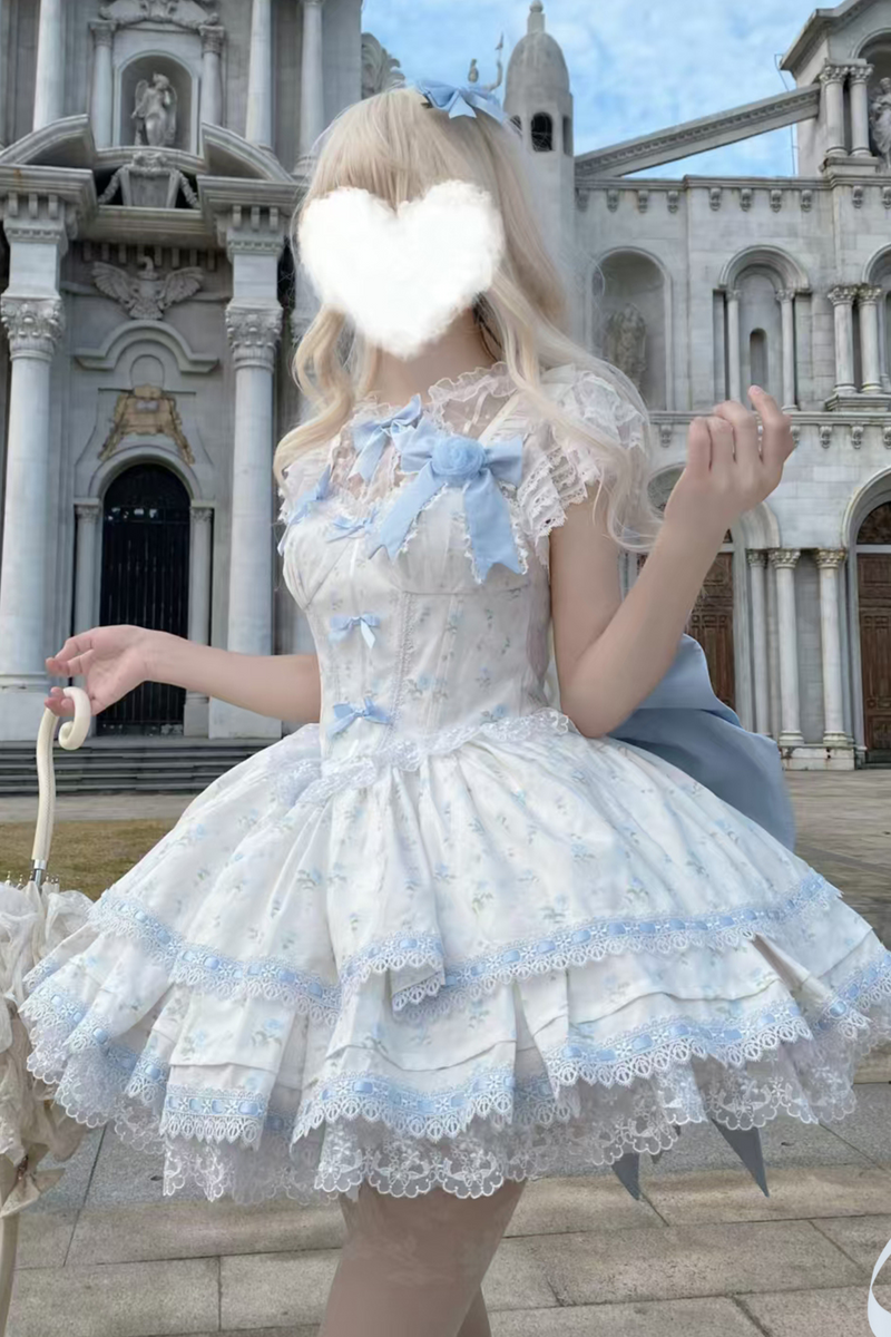 Rose Sweet Pure Princess Dress + Sheer Innerwear