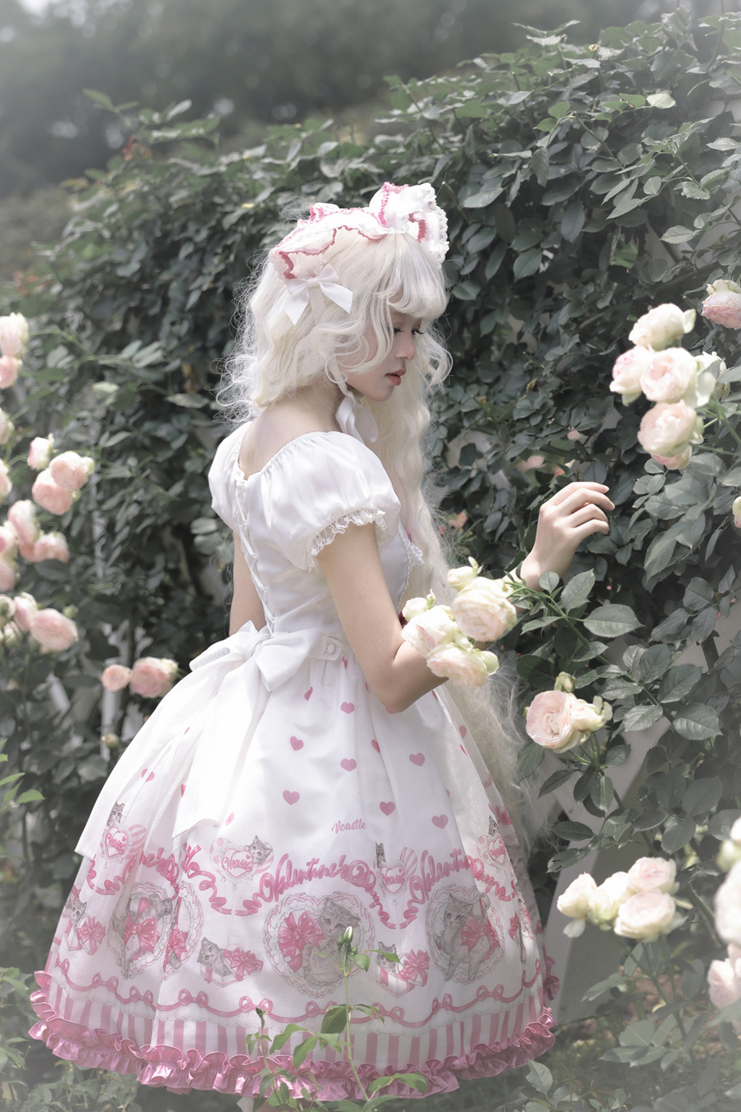 Sweet Girly Cat Jsk + Dress