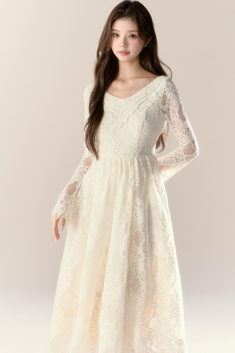 Lace Story Dress