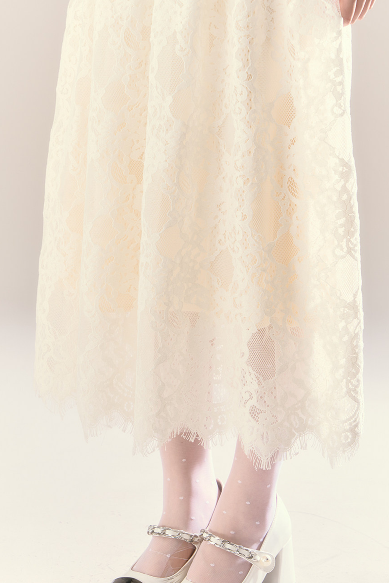 Lace Story Dress