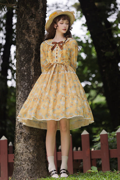 Elegantly Styled Dress for Everyday Wear