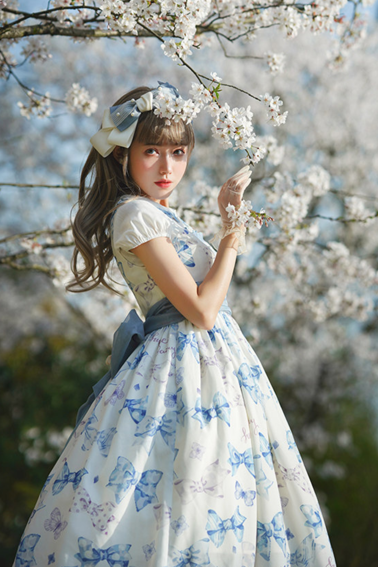 Eternal Garden Lolita Dress + Off Shoulder Dress + Jumper Skirt + Shirt