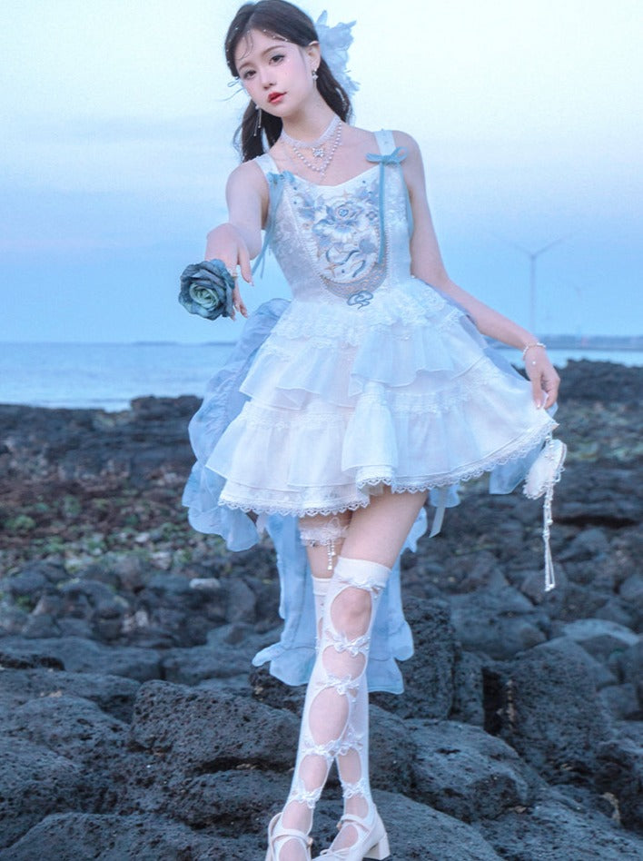 Ballet Style Fishbone Suspender Dress + Sheer Blue Skirt