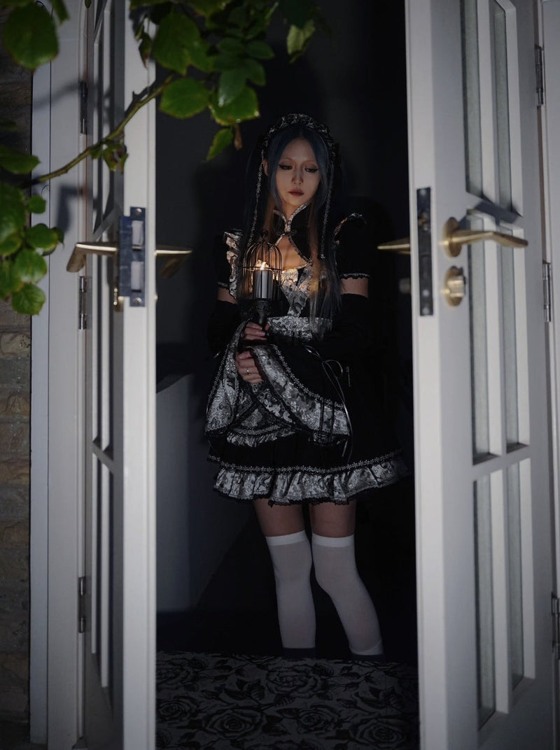 Silver Dragon Maid Gothic Dress + Apron + Arm Cover