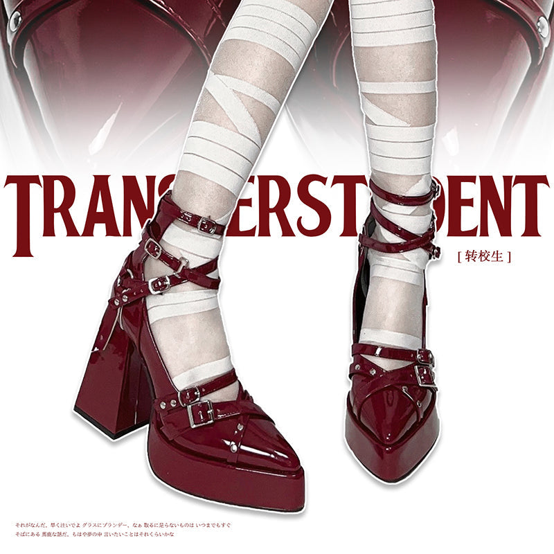 Gothic Pointed Toe Platform Heels