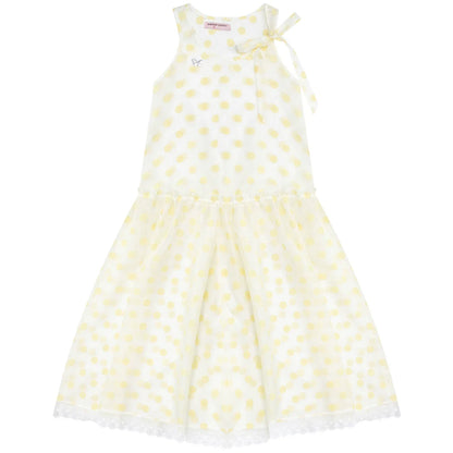 Sweet Polka Dot Mesh Dress