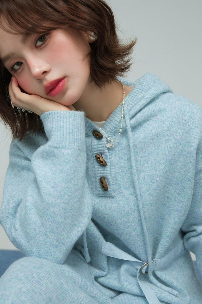 Ice Sweet Knit Hooded Dress